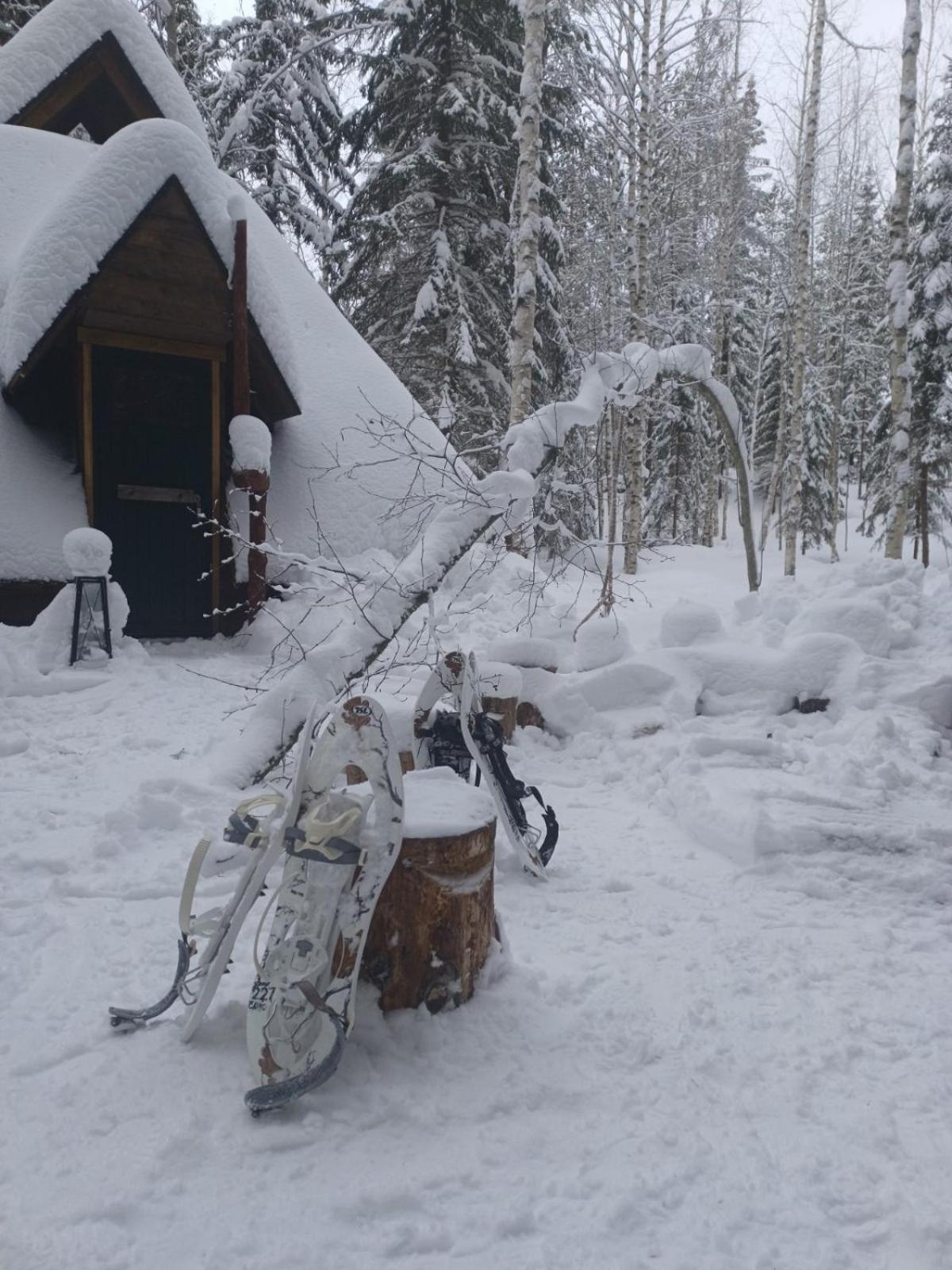 Accommodation And Fishing Vonkale Äänekoski المظهر الخارجي الصورة