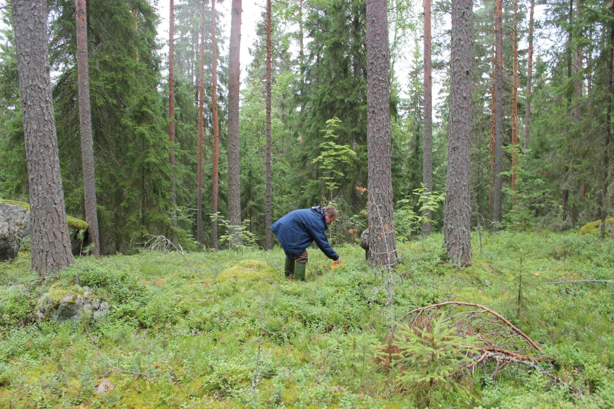 Accommodation And Fishing Vonkale Äänekoski المظهر الخارجي الصورة