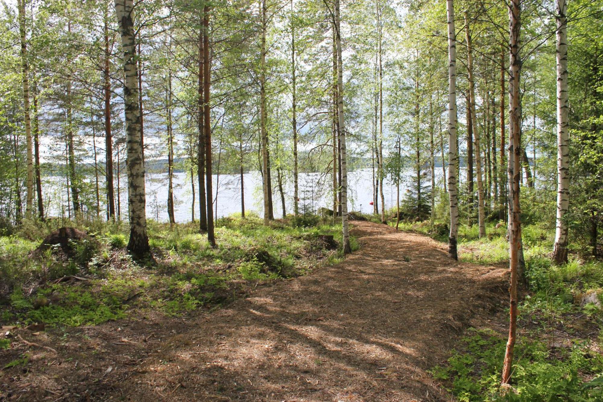 Accommodation And Fishing Vonkale Äänekoski الغرفة الصورة