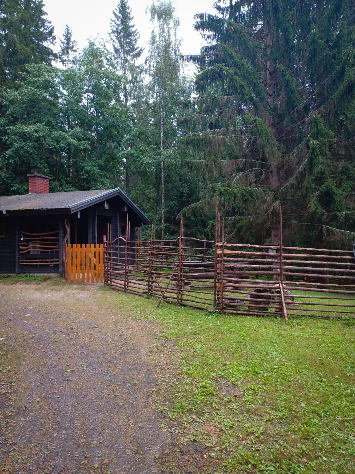 Accommodation And Fishing Vonkale Äänekoski المظهر الخارجي الصورة