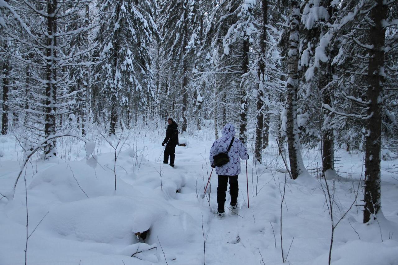 Accommodation And Fishing Vonkale Äänekoski المظهر الخارجي الصورة