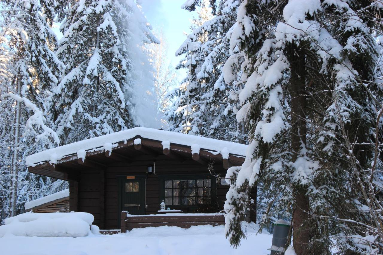 Accommodation And Fishing Vonkale Äänekoski المظهر الخارجي الصورة